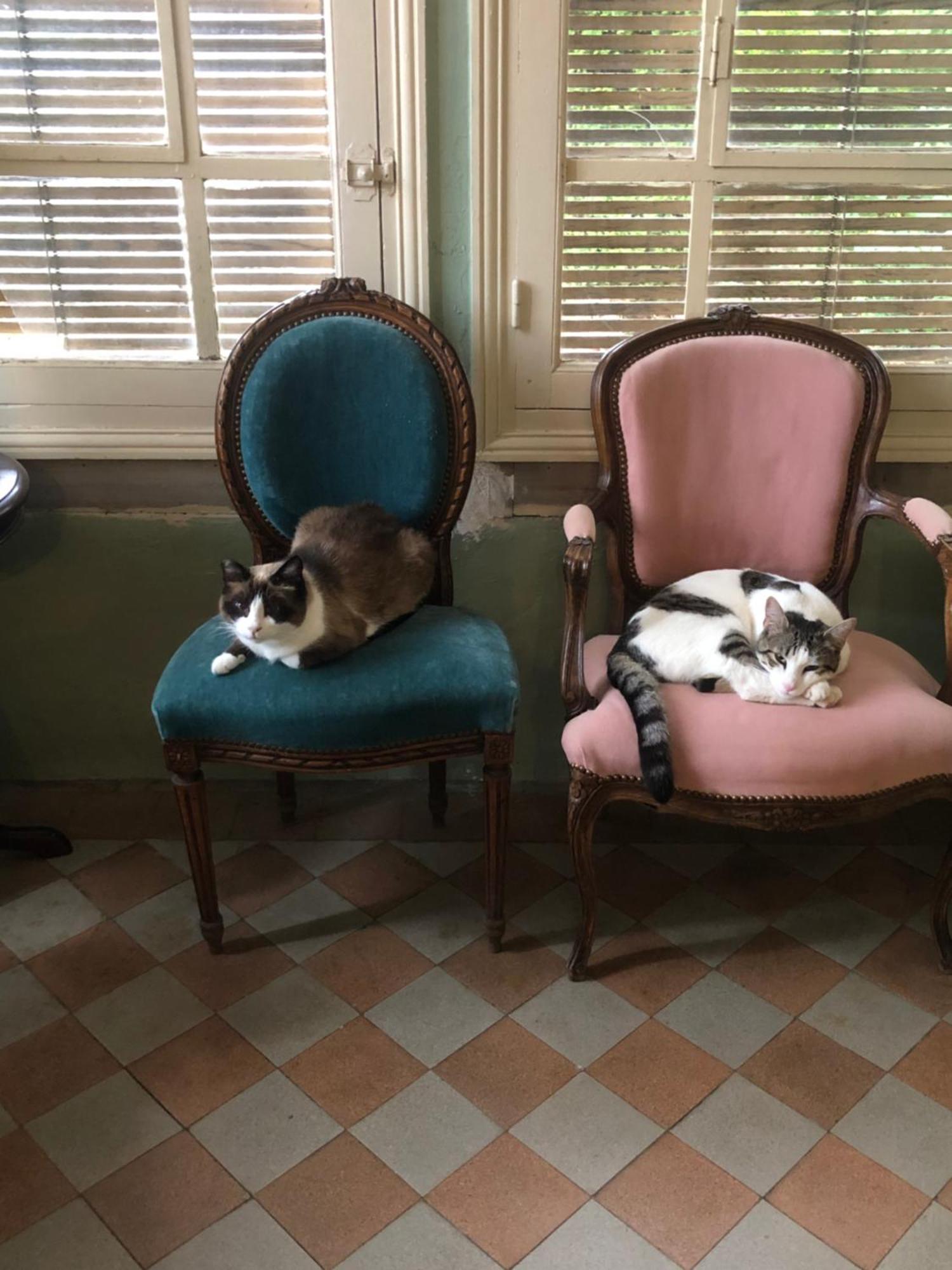 Maison De La Comtesse Cosne-d'Allier Bagian luar foto